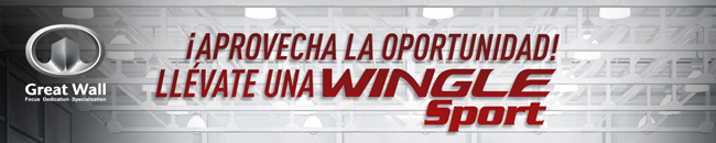 ¡APROVECHA LA OPORTUNIDAD! LLEVATE UNA WINGLE SPORT