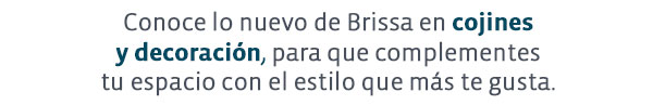 Conoce lo nuevo de Brissa en cojines
                 y decoración, para que complementes
                 tu espacio con el estilo que más te gusta. 