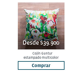 Desde $39.900
                             Cojín Guntur
                             estampado multicolor
                             Comprar