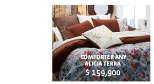 COMFORTER ANY ALICIA TERRA $159,900