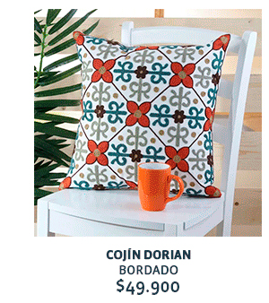 COJÍN DORIAN BORDADO $49.900