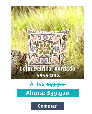 Cojin Delfina. Bordado -4 x 45 cms.