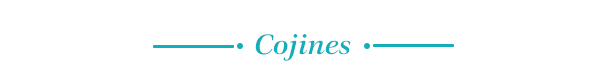 Cojines