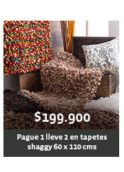 $199.900 - Pague 1 lleve 2 en tapetes shaggy 60 x 110 cms