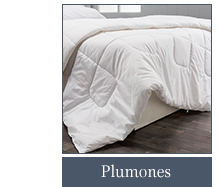 Plumones