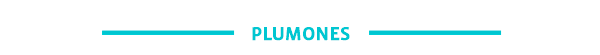 PLUMONES