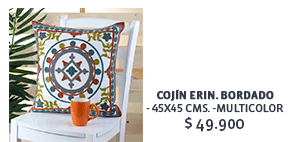 Cojín Erin. Bordado- 45x45 cms. -Multicolor $ 49.900