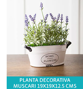 PLANTA DECORATIVA MUSCARI 19X19X12.5 CMS