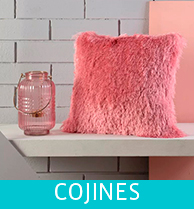 COJINES