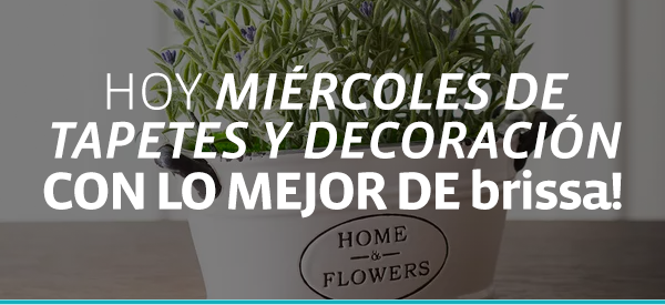 HOY MIÉRCOLES DE TAPETES Y DECORACIÓN CON LO MEJOR DE brissa!