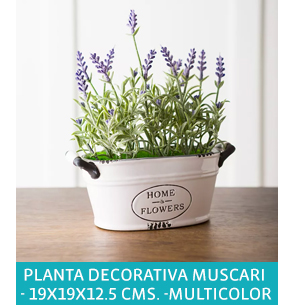 PLANTA DECORATIVA MUSCARI  - 19X19X12.5 CMS. -MULTICOLOR