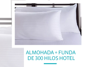 Almohada + funda de 300 hilos hotel