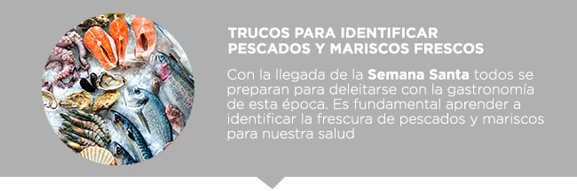 Trucos para identificar
pescados y mariscos frescos - Con la llegada de la Semana Santa todos se preparan para deleitarse con la gastronomía
de esta época. Es fundamental aprender a identificar la frescura de pescados y mariscos para nuestra salud