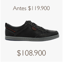 ANTES $119.900 - $108.900