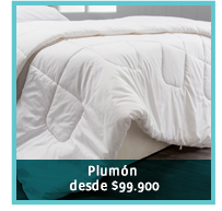 Plumón desde $99.900