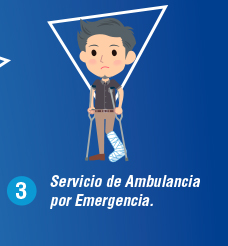 3 Servicio de Ambulancia por Emergencia.